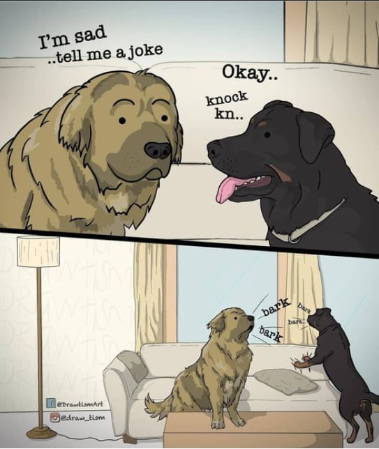 This Is So Stupid 9gag