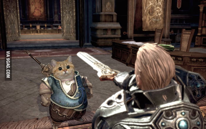 Meanwhile in TERA Online - 9GAG