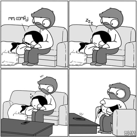 Catanacomics Husband Boyfriend Pillow Happened More Than Once
