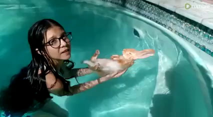 bunny pool float