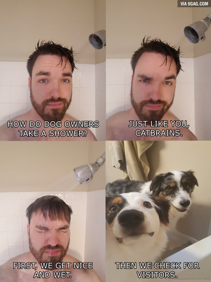 How do dog owners take a shower? 9GAG