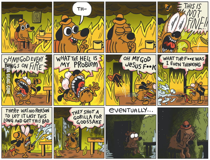 New “This Is Fine” dog comic clarifies “This Is Not Fine.”