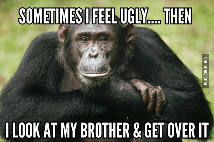 Sometimes I feel ugly ... then I look at my brother and get over it - 9GAG