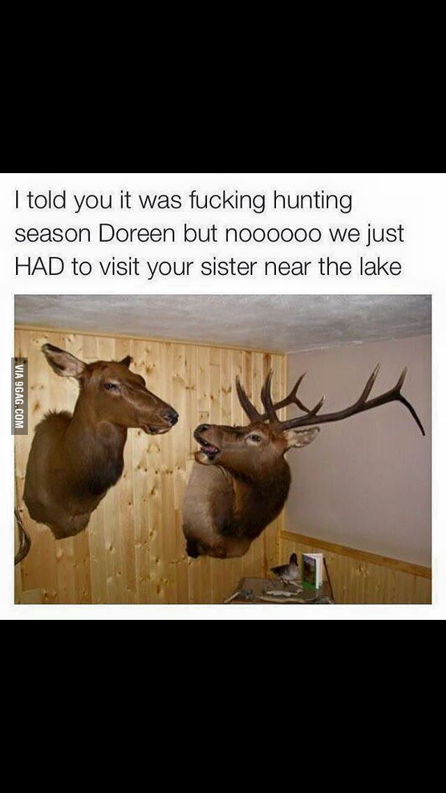 Hunting season... 