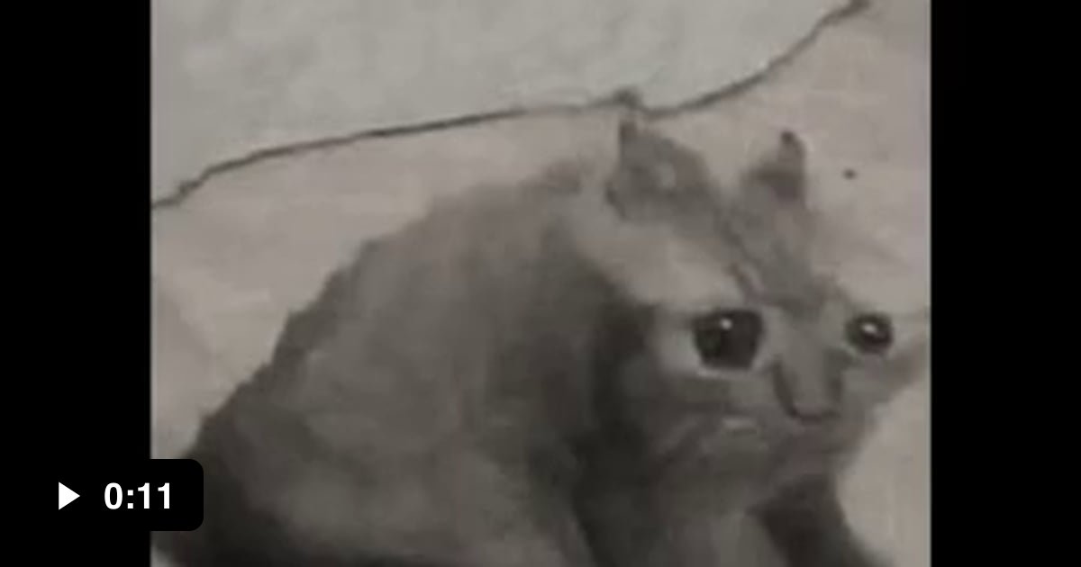 Funny Gen Z Cat Names