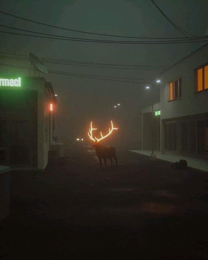 More Than 4 000 Reindeer Die Each Year From Car Crashes In Finland More Than 4 000 Reindeer Die Each Year From Car Crashes In Finland