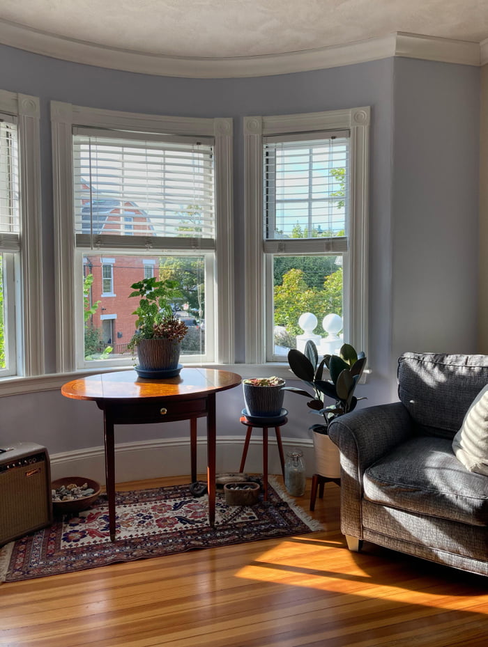 Best seat in the house 9GAG