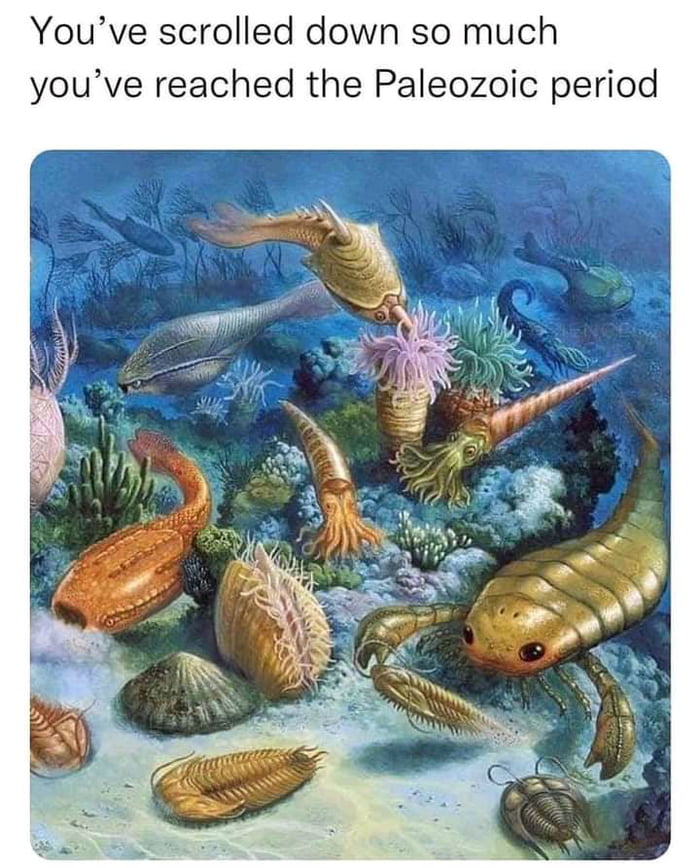 I Would Have Stayed In The Primordial Soup I've reached primordial soup. - 9GAG