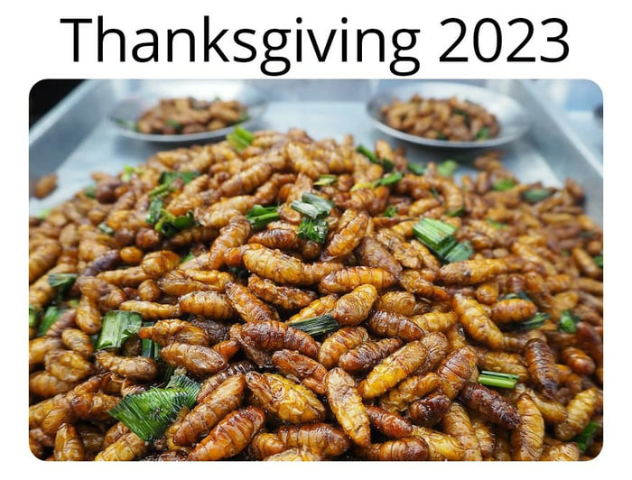 Biden's Bugs! Breakfast, Lunch, and Dinner!!! - 9GAG