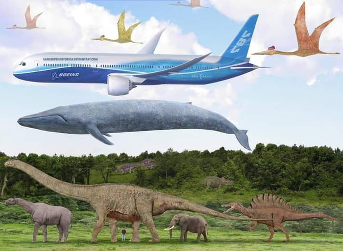 Some of the largest animals who ever lived - size comparison to a