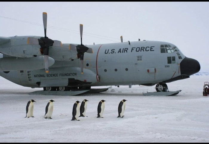 A special C-130 Hercules with snow skies with some friends - 9GAG