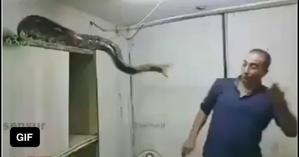 wild-animal-control-worker-at-barehanded-level-9gag