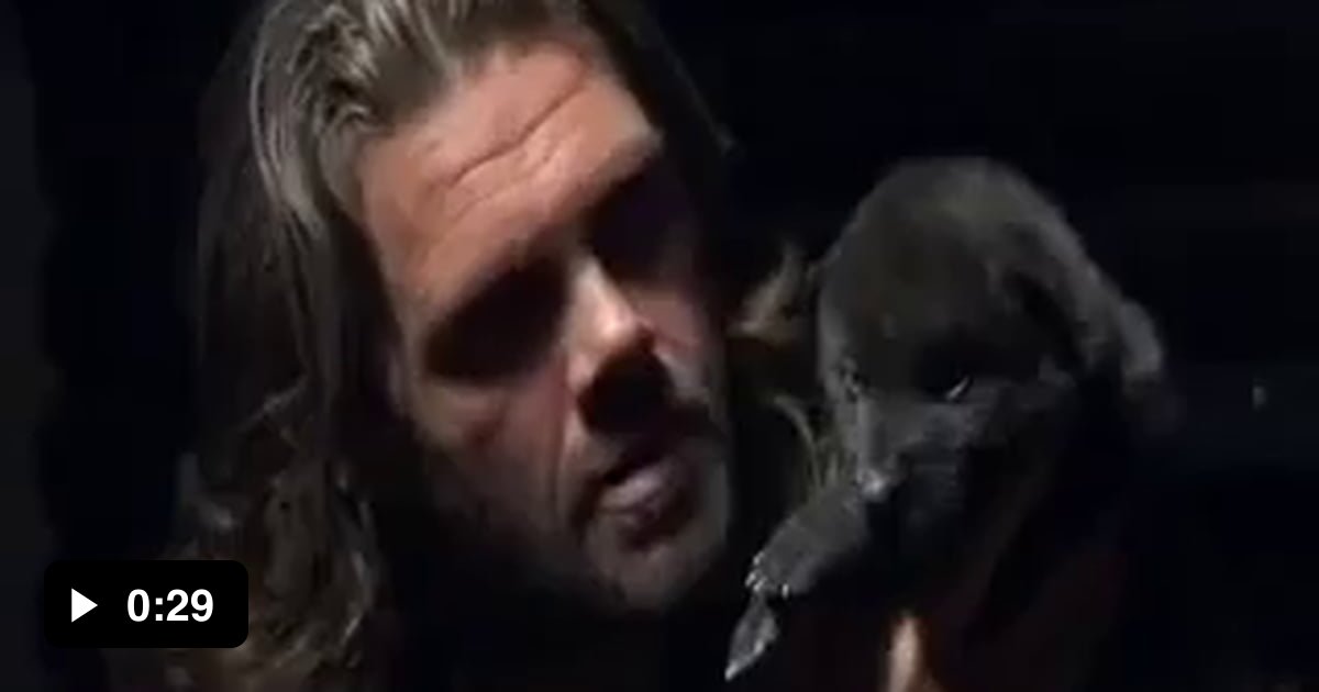 Teaching a wolf pup to howl - 9GAG