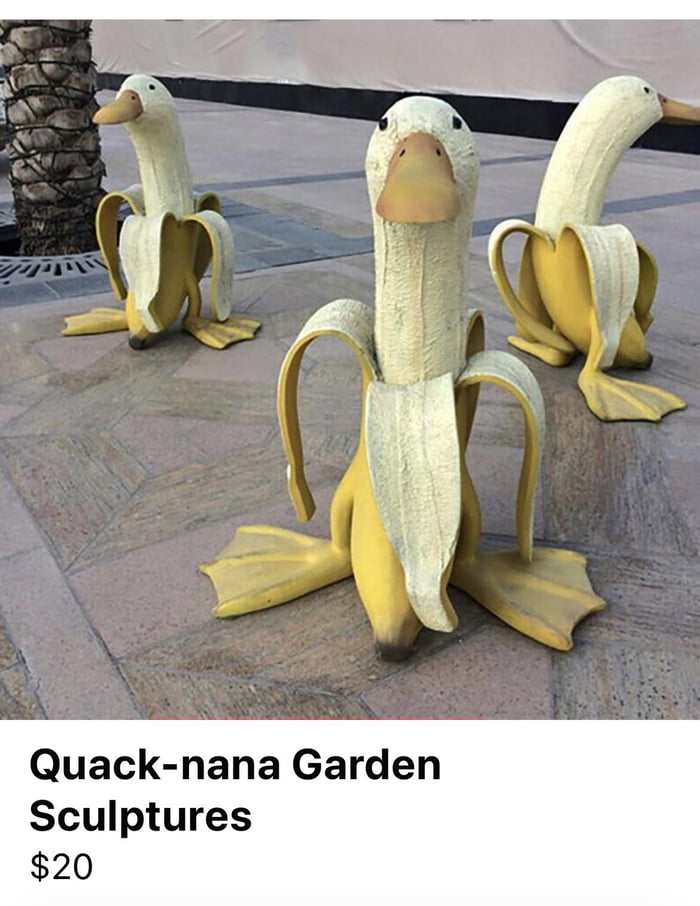 Banana Ducks 9GAG