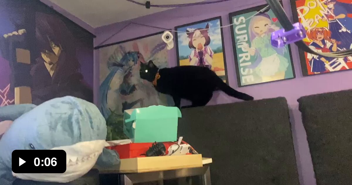 Spinning fish exploit triggers a glitch in cat.exe - 9GAG