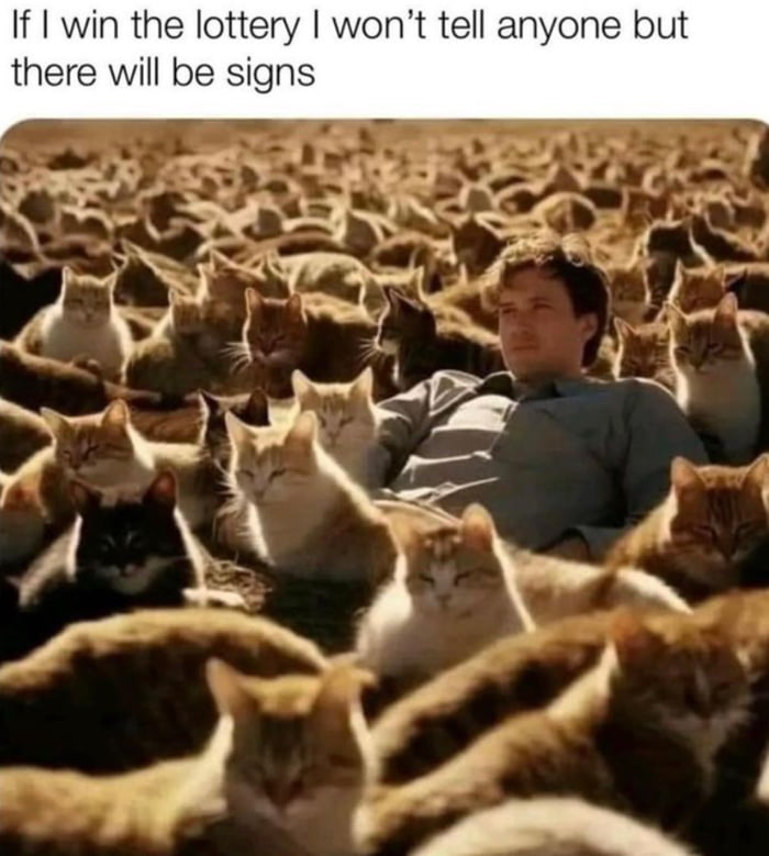 Fluff muffins 9gag