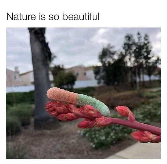 Nature is healing - 9GAG