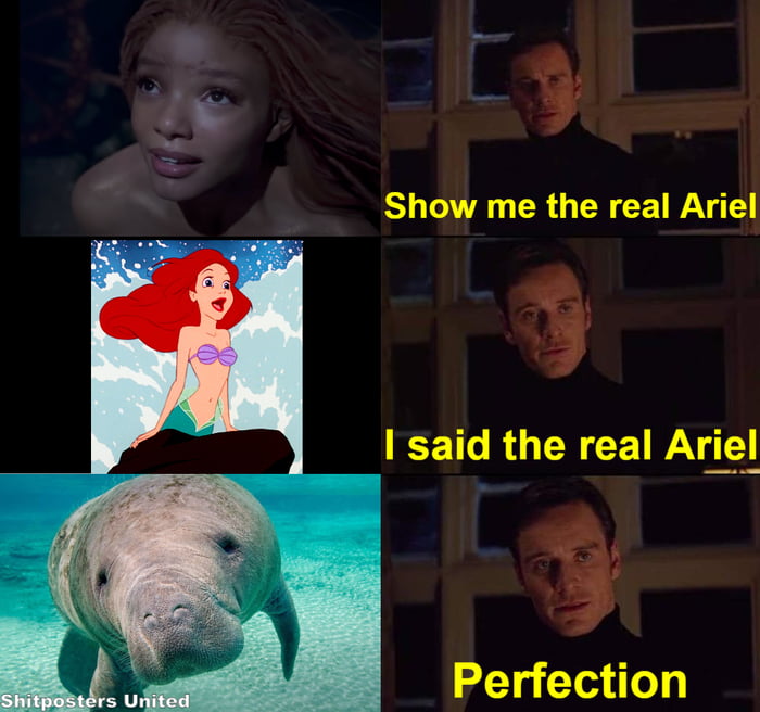 The Real action life ARIEL - 9GAG