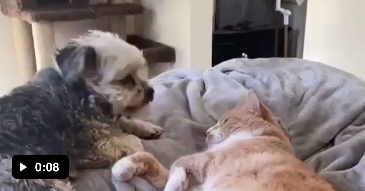 Sugar how'd you get so fly?! 9GAG