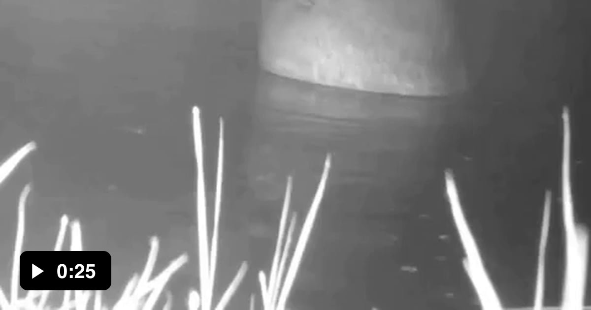 Don't to shower before going to bed. 9GAG