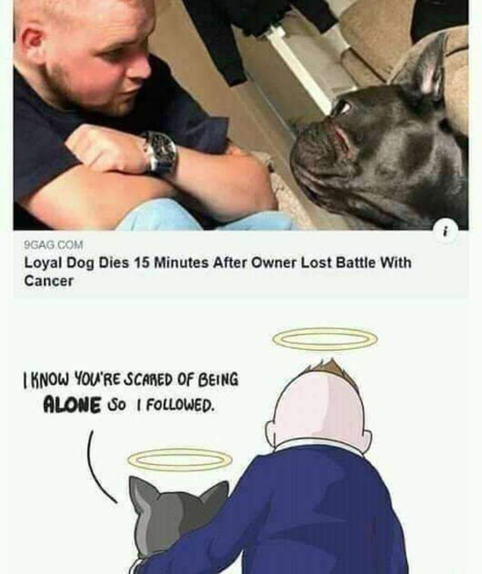 I am not crying, you are! - 9GAG