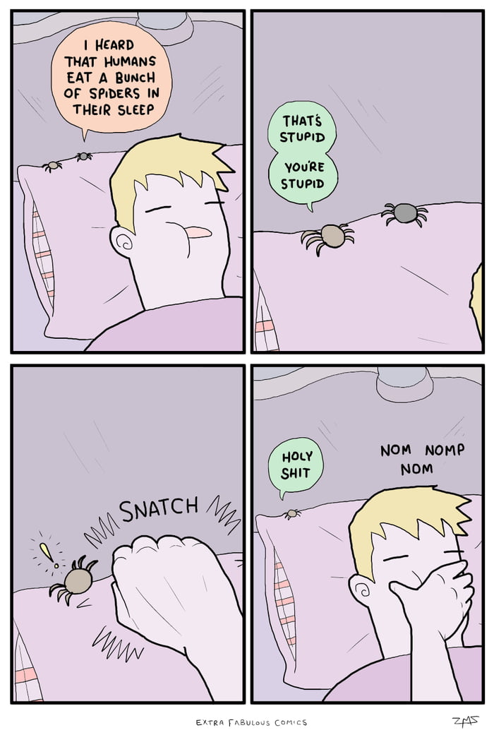 Spiders in your sleep - Extra Fabulous Comics - 9GAG