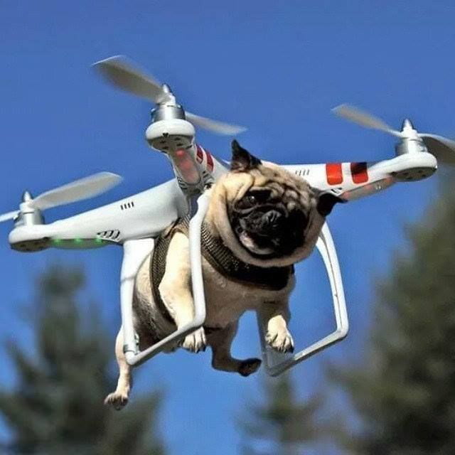 Dogcopter 9GAG