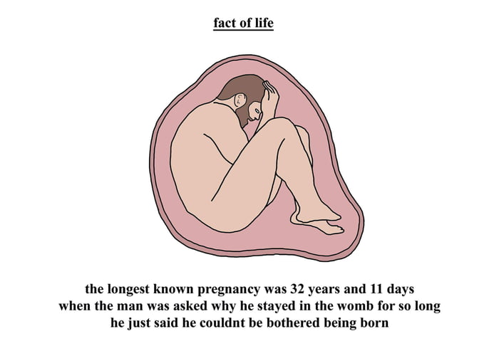Chris (Simpsons Artist) never fails to make me laugh - 9GAG