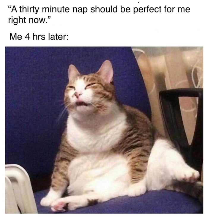 Spring time naps are so nice :( - 9GAG