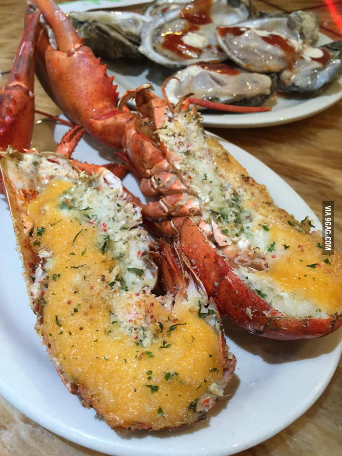 Lobster and Oysters 9GAG