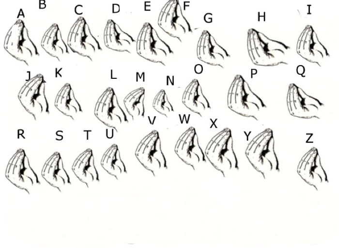 How To Speak Sign Language In Italian 9GAG