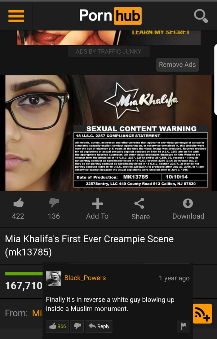 Pornhub Ads By Traffic Junky