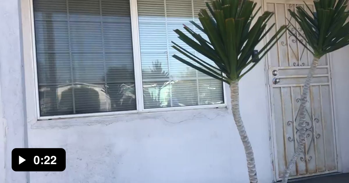 Lamar roasts Franklin but it's played by the real voice actor (Shawn