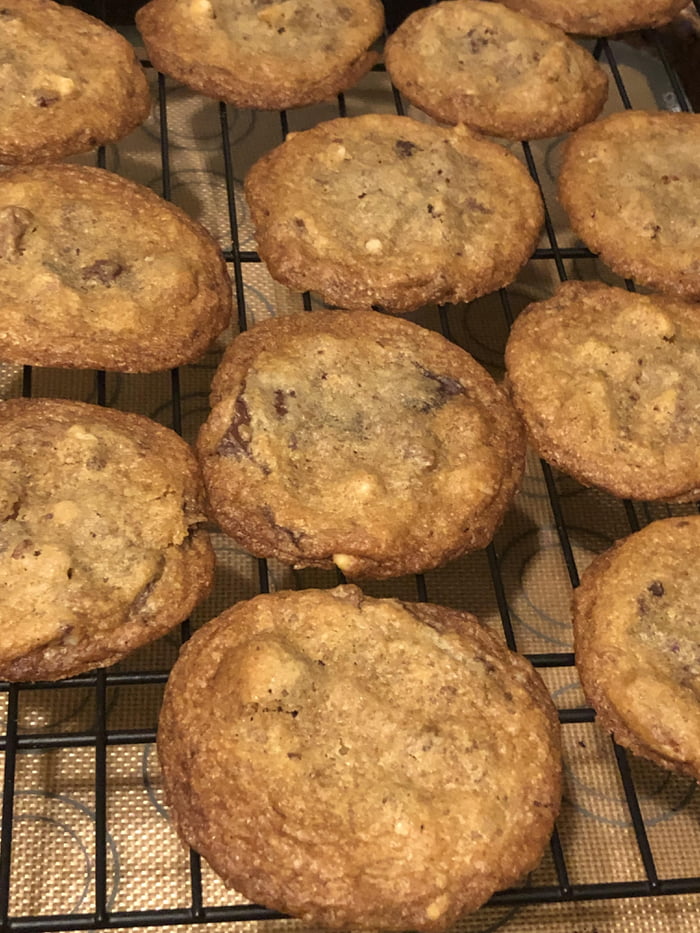 Freshly baked Triple chocolate, pecan and walnut cookies 9GAG