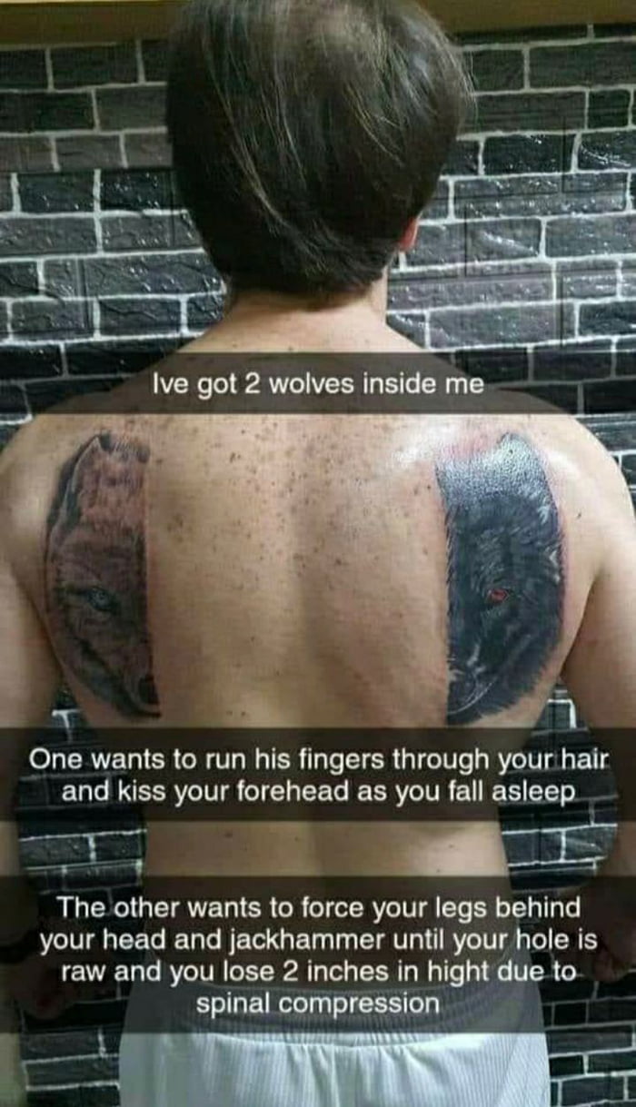 Two Wolves Cringe You got 2 wolves inside you, one is cringe the other is also cringe ...