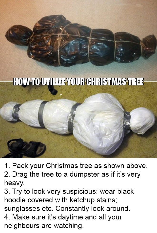 How To Properly Dispose Of Your Old Christmas Tree 9GAG