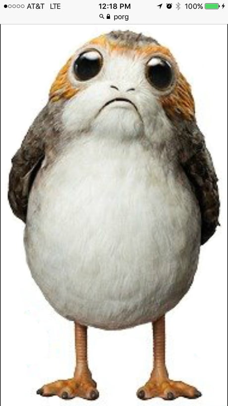 star wars wallpapers animated chicken