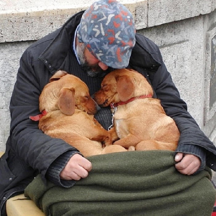 These loyal dogs remain by their homeless owner’s side, offering