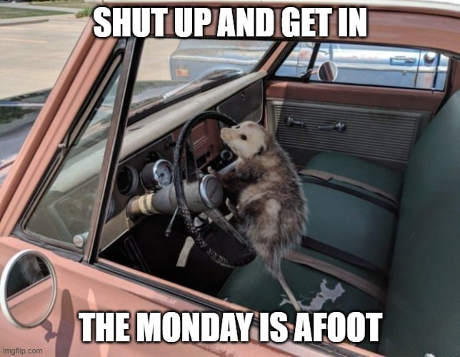 Monday Possum - 9GAG