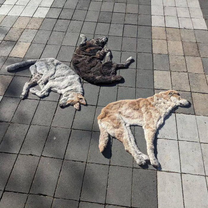 Sleeping Dog Rug Creative artist creates rugs in the shape of… sleeping dogs - 9GAG