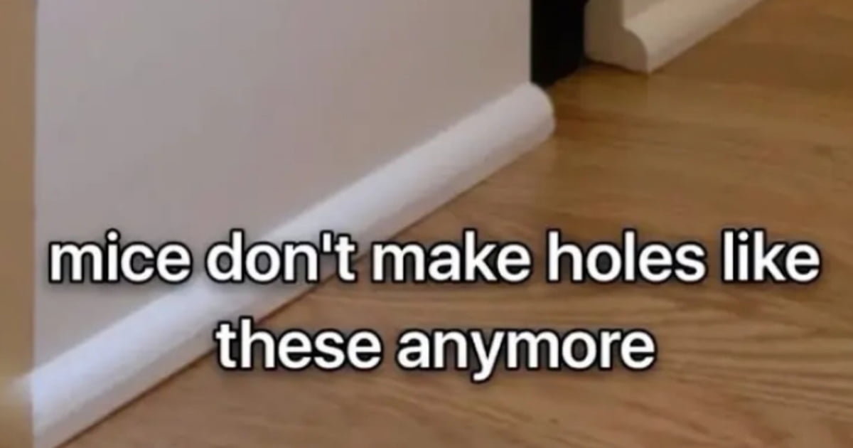 They're smart, they'd have to pay rent so they must not be seen - 9GAG