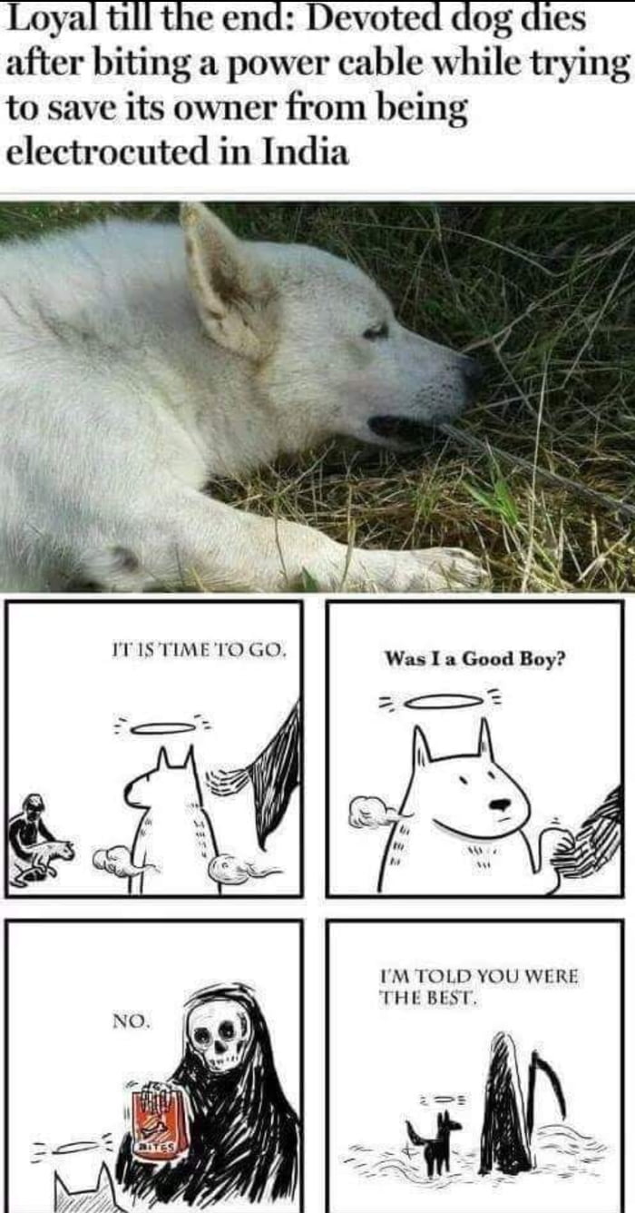Do We Deserve Them 9GAG Do we deserve them 9gag
