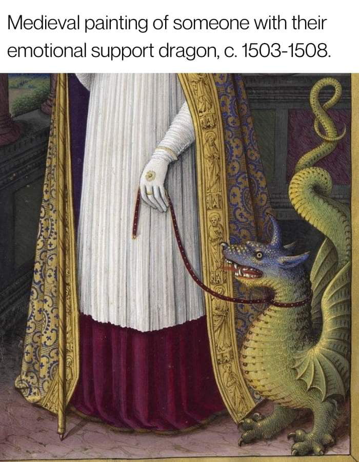 Some People Have Emotional Support Dogs Some People Have Emotional