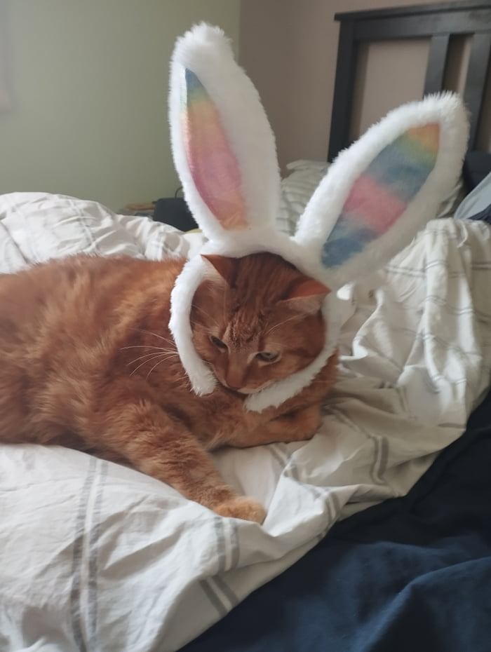 Happy easter ! - 9GAG