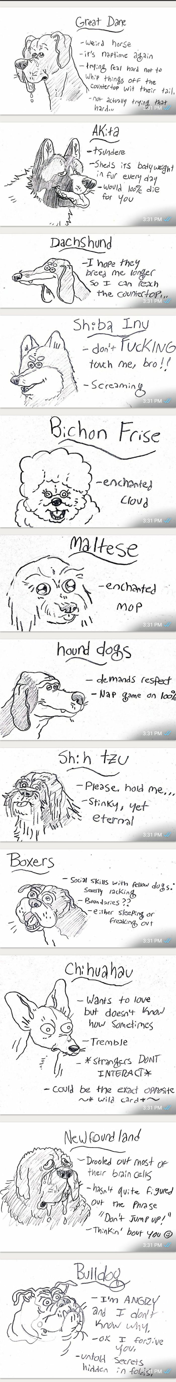 The real guide to dog breeds (part-1).