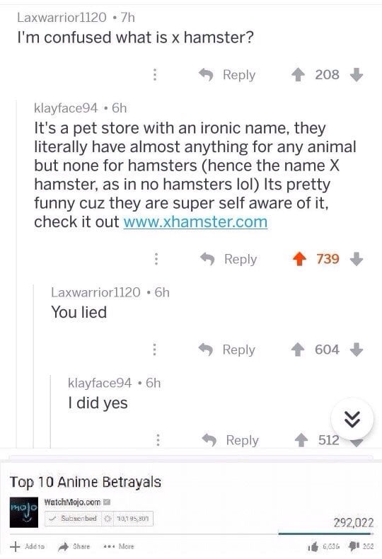 x hamster s