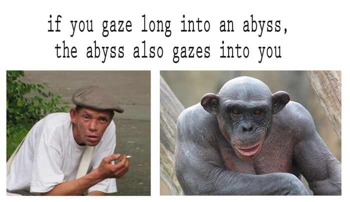 if you gaze into the abyss