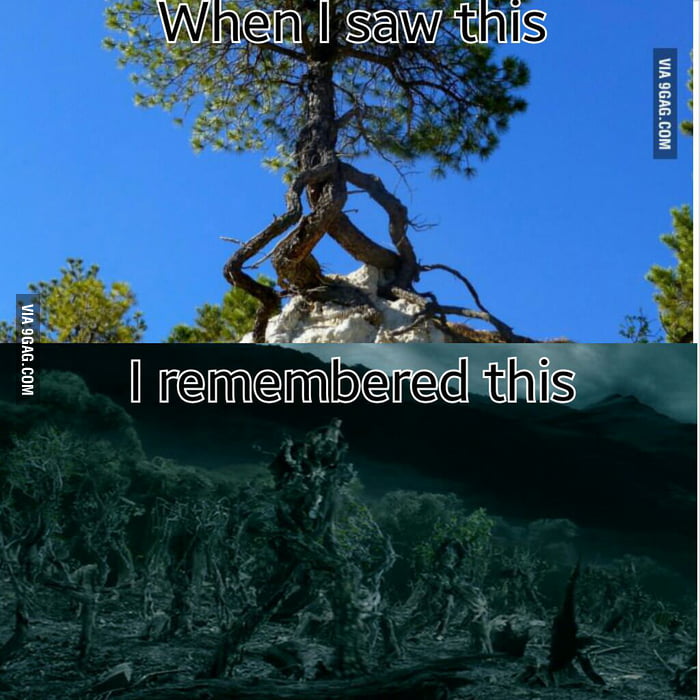 When I saw this... - 9GAG