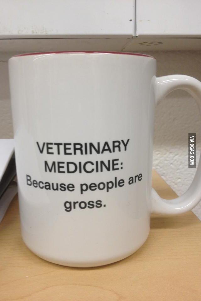 As A Vet Tech I Couldn t Agree More 9GAG