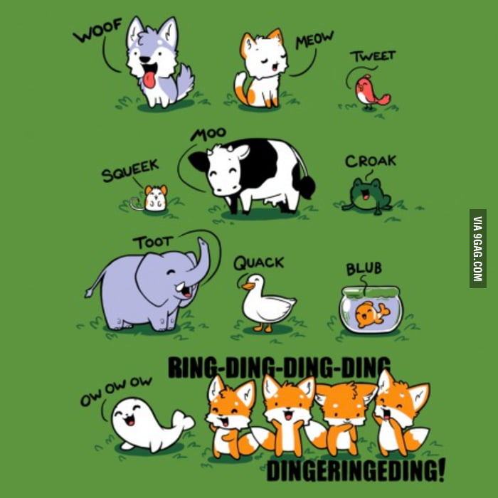 What does the fox say?! - 9GAG